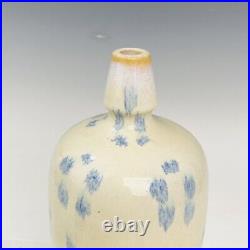 10.4 Chinese Old Antique Porcelain tnag dynasty Blue white fish Pulm Vase