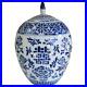 11 Chinese Blue White Porcelain Ginger Jar