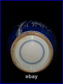 12 Antique Porcelain qing dynasty Blue white Plum blossom double deer ear Vase