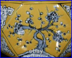12 China Porcelain ming dynasty hongwu Blue white yellow Pine Plum blossom Vase