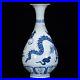 12 China Yuan dynasty blue white Porcelain Dragon pattern Jade pot spring Vase