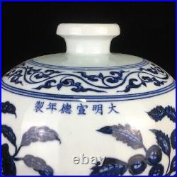 12 old China porcelain Ming Dynasty Xuande Blue white flowers fruits bottle