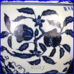 12 old China porcelain Ming Dynasty Xuande Blue white flowers fruits bottle