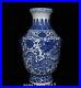 16.5 China Porcelain Qing dynasty qianlong mark Blue white dragon Phoenix Vase