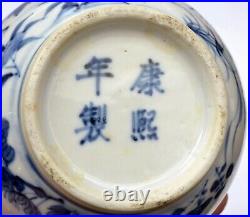 1900's Chinese Blue & White Bird Porcelain Vase Marked