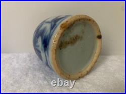 19th C. Chinese Antique Qing Dynasty Blue and White Porcelain Jarlet