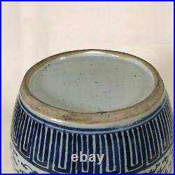 19th Century Chinese Porcelain Blue & White Decorated Jar