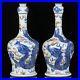 2P China Old Porcelain Hand painting Blue and white Underglaze red Dragon vases