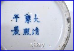 2 Late 19th Century Chinese Blue & White Porcelain Vase Flower & Bird Marked