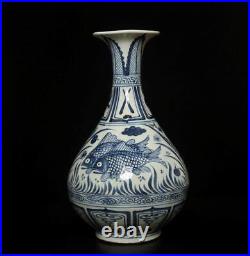 34CM Old Antique Chinese Blue & White Porcelain Vase with fish