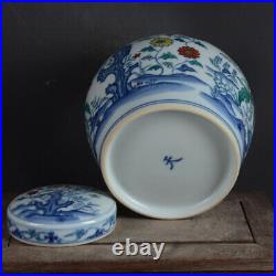 5.1China Blue White Porcelain Doucai Contrasting Colors Hand Painting FlowerPot