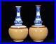 5.9 China Antique Qing dynasty Porcelain A pair Blue white pattern gourd vases