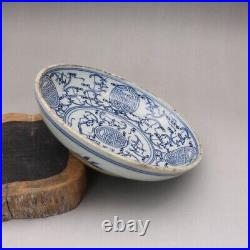 5.9 Chinese Blue and White Porcelain Freehand Sketching Chiropter Grain Plates