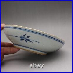 5.9 Chinese Blue and White Porcelain Freehand Sketching Chiropter Grain Plates