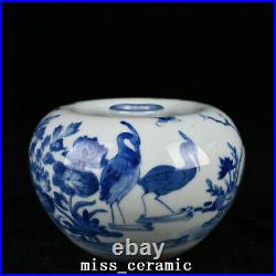 6.3 Antique Porcelain Qing dynasty kangxi mark Blue white Lotus bird Apple Vase