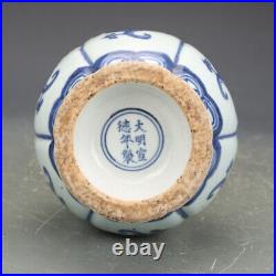 7.4 Collection China Blue and White Porcelain Glossy Ganoderma Vase