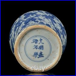 8.8 Chinese Blue&white Porcelain HandPainted Exquisite Vase