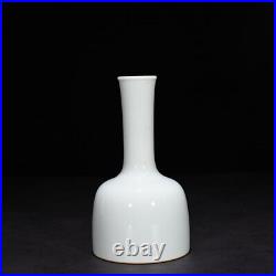 8 China old Qing dynasty Porcelain kangxi mark Blue white Phoenix pattern vase