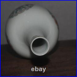 9.2 Chinese Blue and White Porcelain Doucai Chiropter Arabesquitic Gall-bladder