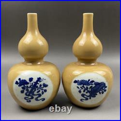 A Pair Chinese Blue&White Porcelain Handpainted Exquisite Gourd Vases 10316