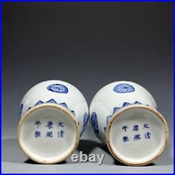 A Pair Chinese Blue&White Porcelain Handpainted Exquisite Vases 9810