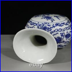 A pair Chinese Blue and White Porcelain Qing Qianlong Flowers Birds Vase 13.4