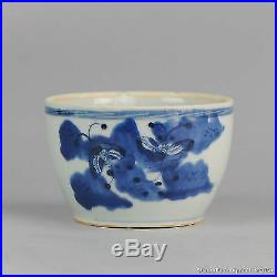 Antique 18th c Chinese Porcelain Blue & White Jar Qing Kangxi Butterfly