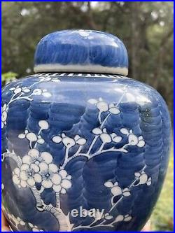 Antique 19th Chinese Blue and White Porcelain Prunus Jar with Cover