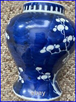 Antique China Blue & White Porcelain Prunus Blossom Ginger Jar. 9 Appx. Signed