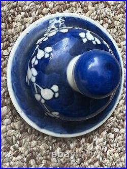 Antique China Blue & White Porcelain Prunus Blossom Ginger Jar. 9 Appx. Signed