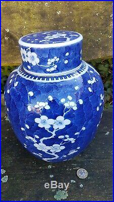 Antique Chinese Blue White Porcelain Ginger Jar & Stand 10 Prunus Blossom