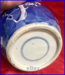 Antique Chinese Blue & White Prunes Blossom Porcelain Ginger Jar Vase Urn 9 3/4