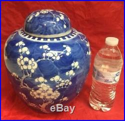 Antique Chinese Blue & White Prunes Blossom Porcelain Ginger Jar Vase Urn 9 3/4
