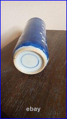 Antique Chinese Blue and White Prunus Blossom Late Qing Kangxi Porcelain Vase