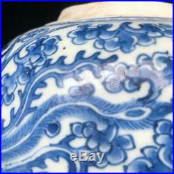 Antique Chinese KANGXI PHOENIX & PEONY JAR blue & white porcelain DOUBLE CIRCLE