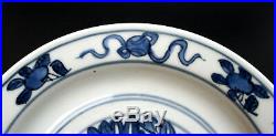 Antique Chinese Porcelain Blue & White Dish Ming Dynasty Private Collection (3)