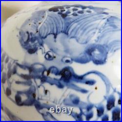 Antique Large Chinese Blue & White Hand Painted Double Gourd Porcelain Vase