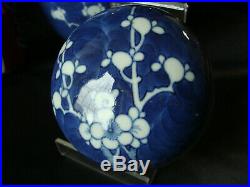 C19th Chinese Export blue & white porcelain Ginger Jar & Cover. Prunus in flower