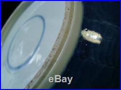 C19th Chinese Export blue & white porcelain Ginger Jar & Cover. Prunus in flower
