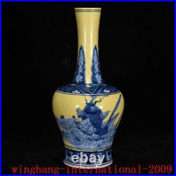 China Ancient Yellow glaze Blue&white porcelain fish lotus exquisite bottle vase