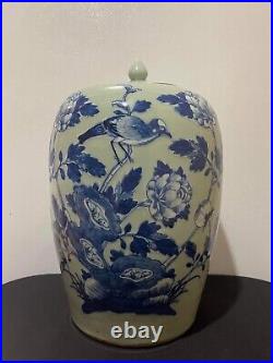 Chinese Blue And White Porcelain Chrysanthemum Vase of Qing Dynasty H12 W7.5