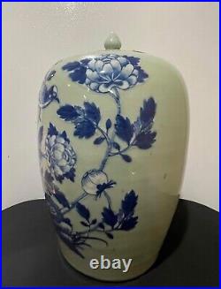 Chinese Blue And White Porcelain Chrysanthemum Vase of Qing Dynasty H12 W7.5