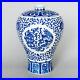 Chinese Blue And White Porcelain Dragon Phoenix Meiping Vase