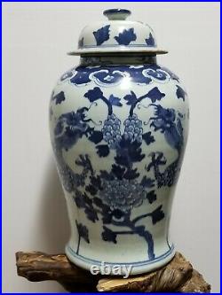 Chinese Blue & White Porcelain Glaze Ginger Jar vases
