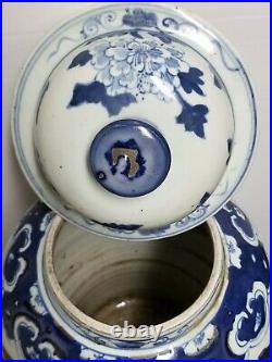 Chinese Blue & White Porcelain Glaze Ginger Jar vases