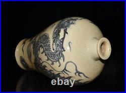 Chinese Blue&White Porcelain HandPainted Exquisite Dragon Pattern Vase 19316