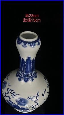 Chinese Blue&White Porcelain HandPainted Exquisite Lion Vase 17034