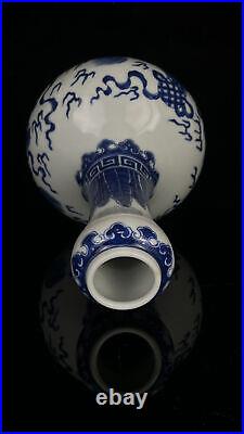 Chinese Blue&White Porcelain HandPainted Exquisite Lion Vase 17034