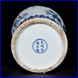 Chinese Blue&White Porcelain HandPainted Exquisite Vase 19272