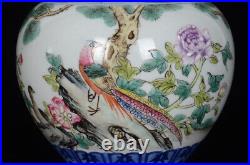 Chinese Blue&White Porcelain HandPainted Flower&Birds Vase 15430